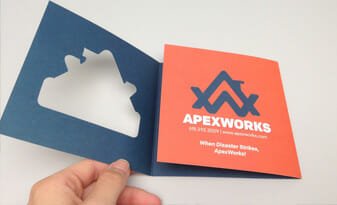 Apex works logo