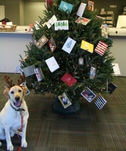 hoss with tree
