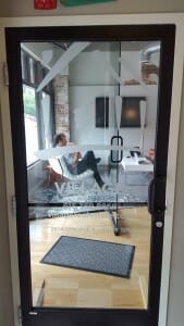 Etched glass door